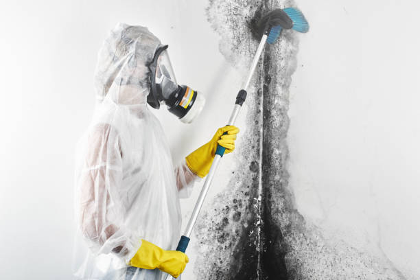 Best Residential Mold Inspection & Testing  in Marinette, WI