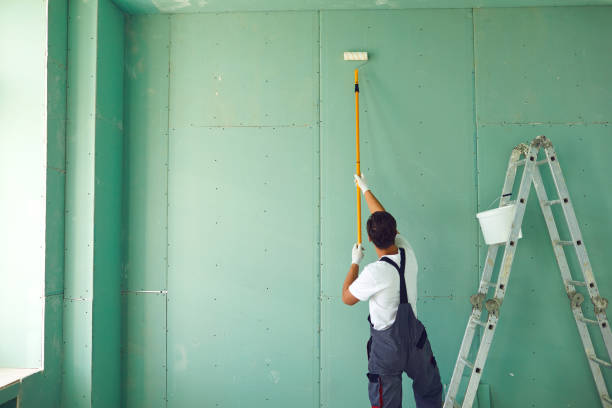 Reliable Marinette, WI Mold Removal Solutions