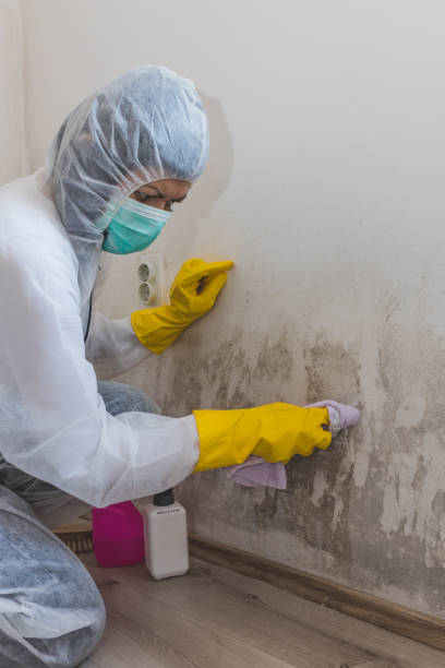Best Airborne Mold Testing  in Marinette, WI