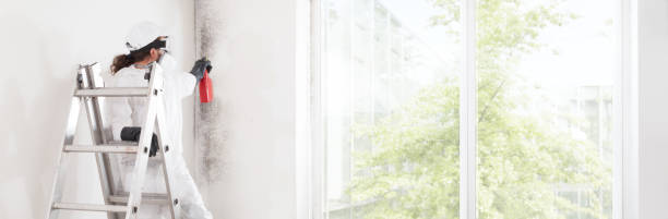 Best Comprehensive Air Testing for Mold Contaminants  in Marinette, WI
