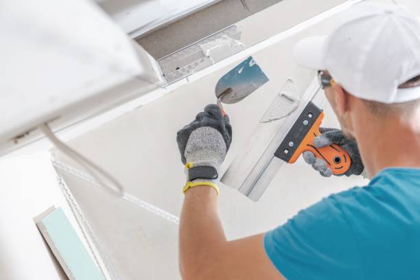 Best Forensic Mold Investigation  in Marinette, WI